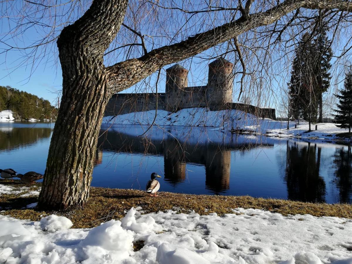 Savonlinna Rentals Bagian luar foto